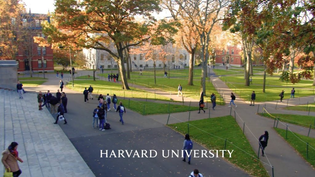 undergraduate study abroad scholarships