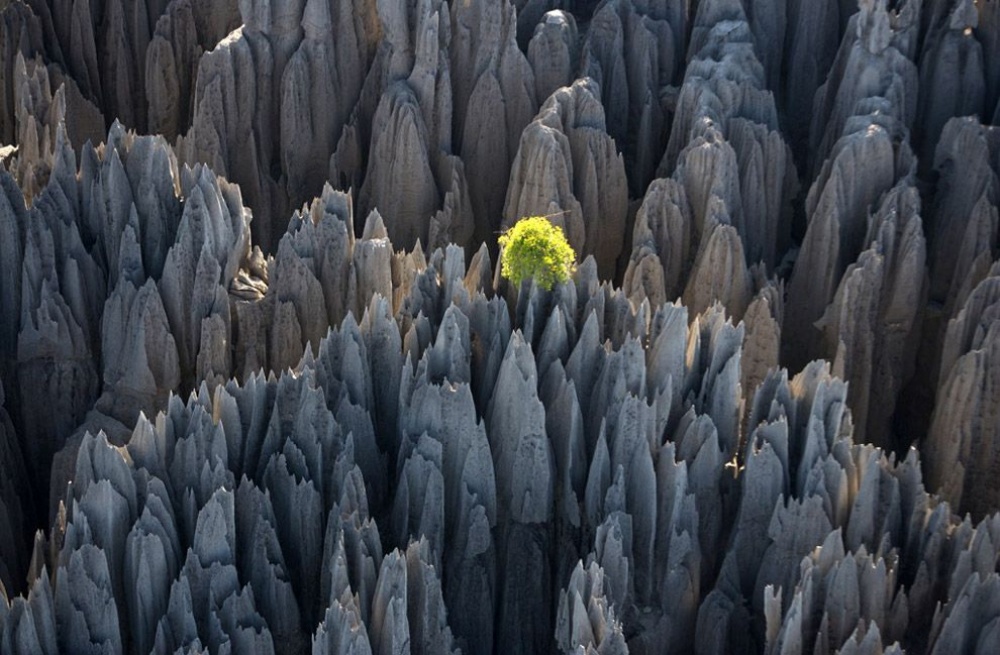 10 Amazing And Mysterious Places of The Earth Untouched By Mankind