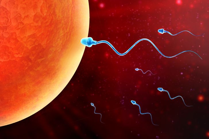 Study Reveals That WiFi Devices Affect Male Fertility