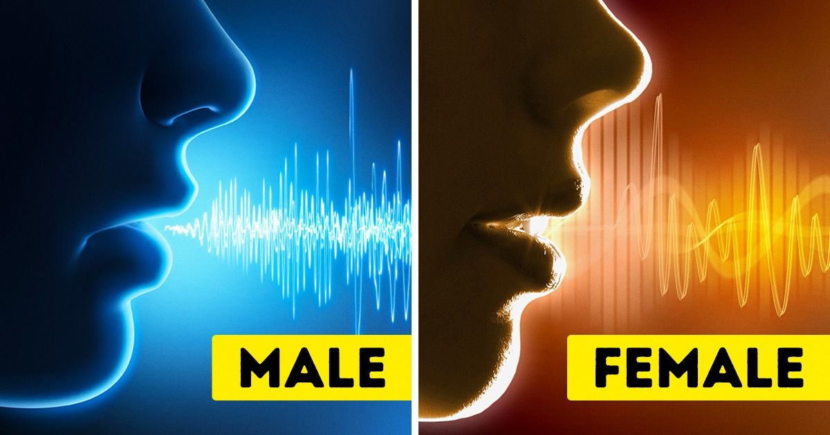 Science Explains Why Your Phone Speaks Like a Woman