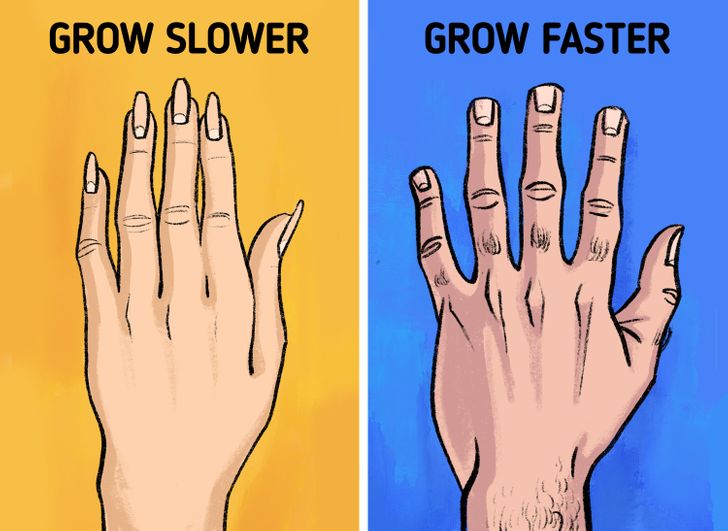 Why Fingernails Grow Faster Than Toenails