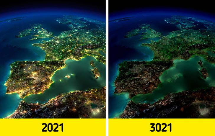What Would Happen If Humanity Fell Asleep for 1,000 Years and Then Woke Up